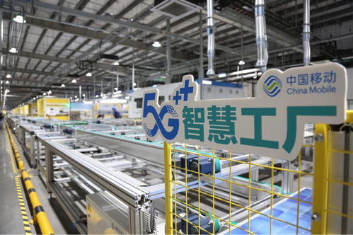 泰州5G智慧工廠落地 按下光伏制造業發展“快進鍵”